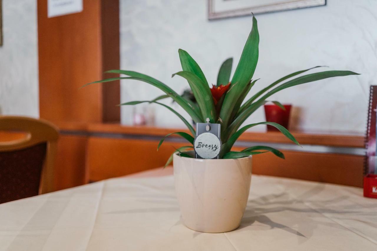 Guest House Sv. Nikola Dugo Selo Zewnętrze zdjęcie